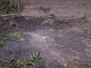EXPLOSIVO MATA CRIANÇA EM NACALA
