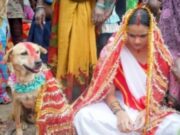 Indiana casa-se com cachorro enquanto espera pelo príncipe encantado