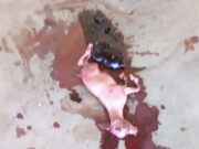 Mulher da à luz um cabrito na Nigéria, Após gravidez de dois anos (INCRÍVEL)