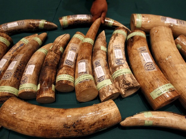 2015-03-19t113814z_253024088_gf10000031108_rtrmadp_3_thailand-crime
