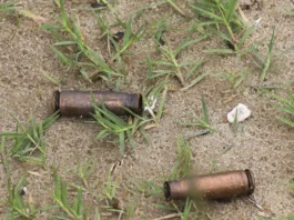 Estado Islâmico volta a atacar em Cabo Delgado: 26 mortos e mais de 13 mil deslocados